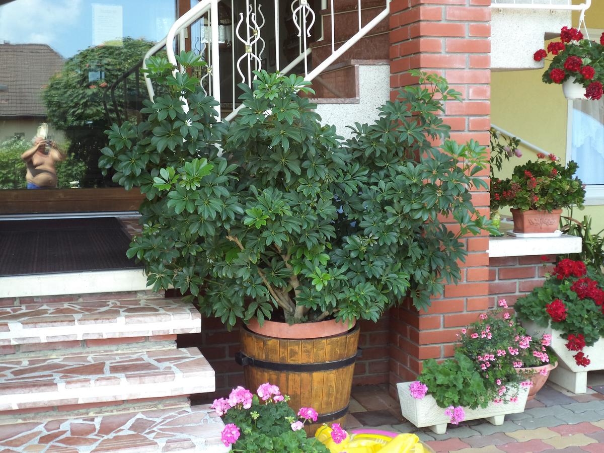Holp Panzio Hotel Balatonfoldvar Luaran gambar